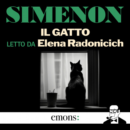 Il gatto